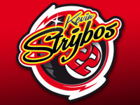 logo Kevin Strijbos by DGsign